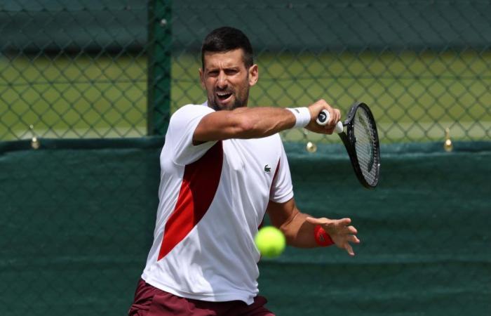 “Se habla demasiado de la lesión de Novak Djokovic”