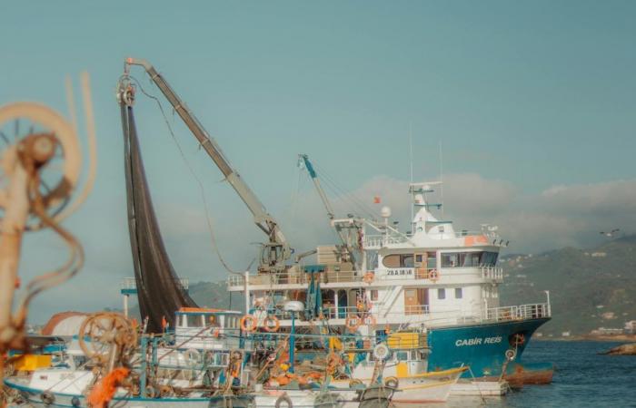 La denuncia de SOS Humanidad por la muerte de un migrante que llegó al Puerto de Catania