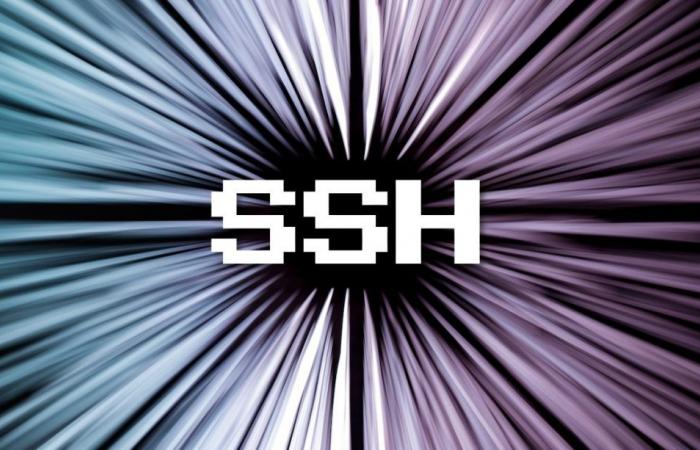 Nueva vulnerabilidad OpenSSH