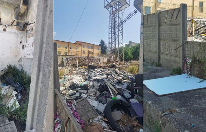 Lamezia, Lorena (FdI): “Urgente recuperación, limpieza y seguridad de la zona del antiguo Cine Grandinetti”