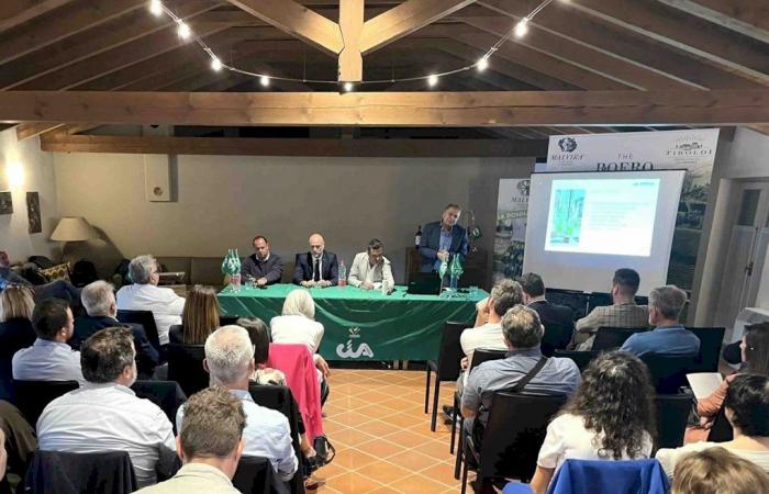 Cia Cuneo: “La actividad de 2023 finaliza con un balance positivo, un resultado importante”