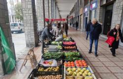 Cuneo, en el mercado “Giobia” de Corso Giolitti, momentos de encuentro para conocer los servicios de la ciudad – Targatocn.it
