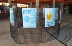 Un punto de información y una exposición en el hospital de Massaia con motivo de la Jornada de Prevención del Alcohol