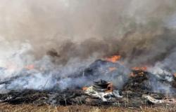 Incendios y vertederos ilegales ignorados en Ardea, el caso sobre la mesa de tres ministros