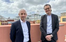 Lsct, Contship anuncia nuevas inversiones: “50 millones en dos años para grúas y modernización del Molo Fornelli”