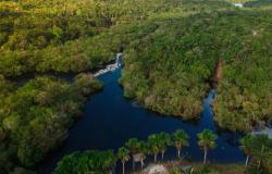 La NASA amplía el uso de herramientas de agua dulce para proteger el Amazonas