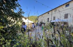 programa y noticias de Borgo Plantarum Reggionline -Telereggio – Últimas noticias Reggio Emilia |