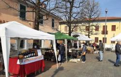 “El mercado de agricultores” se detiene en San Giorgio su Legnano
