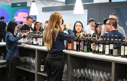 Coldiretti Piemonte – Vino: Vinitaly cierra con un signo + para las exportaciones