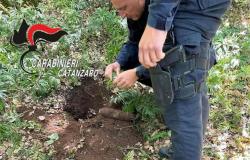 Bomba de la Segunda Guerra Mundial descubierta en la provincia de Catanzaro