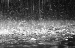 Tiempo en Caltanissetta: hoy viernes 19 de abril lluvia ligera, se esperan fuertes ráfagas de viento.