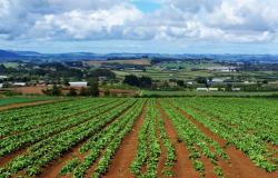 Nuevas oportunidades Consorcios de riego para la agricultura en la provincia de Alessandria