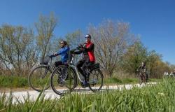 Una excursión en bicicleta por el canal Naviglio Zanelli para redescubrir el antiguo canal que conecta Faenza con el mar Adriático