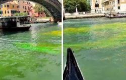 Qué sabemos del Gran Canal de Venecia que hoy se tiñó de verde y rojo