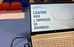 Centros de empleo en Brindisi y su provincia: 67 anuncios de empleo en el portal regional