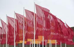 Vinitaly promovió, Vinexpo y Prowein pospusieron hasta el próximo año. Opiniones de los productores