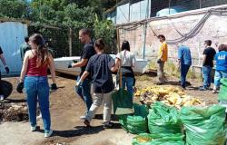 Voluntarios limpian el puerto deportivo de Arenella “Nosotros nos encargamos, Rap nos da las bolsas” – BlogSicilia