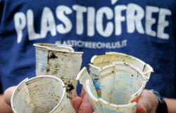 Día Mundial de la Tierra, voluntarios “sin plástico” en acción también en Catania durante el fin de semana