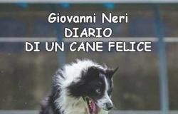 Livorno LibroExpo, “diario de un perro feliz” en Porta a Mare – Livornopress