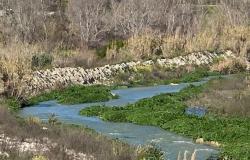 Ribera: La comisión “Juntos por el agua” escribe al consorcio Agrigento 3 para la planificación del riego