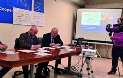 Formación, buenas prácticas y proyectos: acuerdo entre Csv Molise y Confcooperative