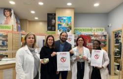 Lucha contra los mosquitos: comienza la distribución gratuita de kits antilarvas en las farmacias