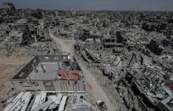 Genocidio israelí-estadounidense en Gaza: día 201. Número de víctimas: 34.262 muertos y 77.229 heridos