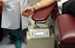 Cosenza, sangre infectada: se solicita una indemnización de 13 millones de euros