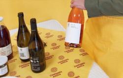 Pecorino en el podio de los vinos más vendidos, Coldiretti Marche: ”Más de 110 millones de euros en vinos de calidad” – picenotime