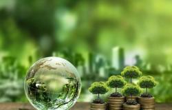 Sandro Orneli, Accenture: “Quien invierte en sostenibilidad gana dos veces: reduce el impacto y aumenta la competitividad”