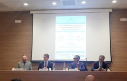 Agenda Calabria, Unindustria en Crotone presenta acciones para apoyar a las empresas ~ CrotoneOk.it