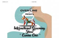 Fiumicino, cuidado y cuidado de perros: evento del 25 de abril en la Expo Salsedine