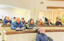 Crotone: El Reglamento de la Comisión del Consejo permite la inscripción en el Registro de Artistas Locales también para los concejales de la ciudad…