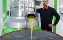 Olivitaly Med, a partir del 4 de mayo 3 días para celebrar el aceite de oliva virgen extra