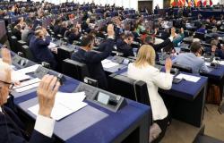 Nuevo Reglamento de la UE sobre armas de fuego: la lucha contra el comercio ilegal de armas continúa