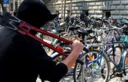 Vicenza: el “famoso” ladrón de bicicletas liberado de prisión y repatriado inmediatamente