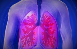 Las enfermedades respiratorias van en aumento: neumólogos en Parma para la conferencia regional