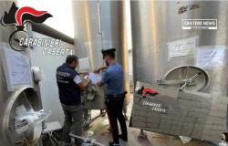 CAPUA – Falsificación de mozzarella, tres sujetos sujetos a medida cautelar de prohibición de residencia en la provincia de Caserta