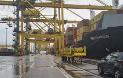 Bloqueo del Canal de Suez, el puerto de Trieste cada vez más estratégico