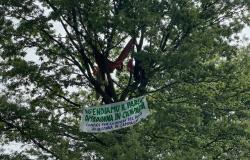 Los ecoactivistas trepan a los árboles de Busto Arsizio para detener las obras y conseguir una nueva parada