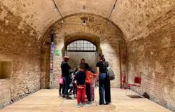 “Escuela en el museo”, niños de Siena en Santa Maria della Scala