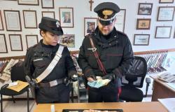 Red de cocaína valorada en 100 mil euros mensuales en el medio y bajo Valle: 8 medidas de precaución