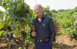 En el G7 los vinos de Negramaro y Malvasia Doc de Brindisi