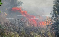 Lucha contra incendios, más drones y medios para reducir los incendios: 15 grupos de voluntarios están activos en la zona de Lametino