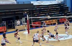 Quince Molfetta – Voleibol femenino. Dinamo CAB Molfetta en el examen ASEM Volley Bari