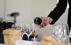 “Mare&Mosto” regresa a Sestri Levante con 80 productores de vino, aceite y delicias gastronómicas