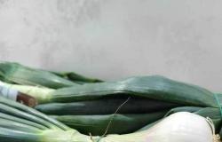 COSENZA – En el mercado de Campagna Amica descubres la cebolla blanca de Castrovillari