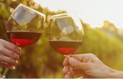 ‘Calicis’ en Villa Ormond en San Remo para celebrar la comida y el vino de los Alpes Marítimos y sus alrededores – Targatocn.it