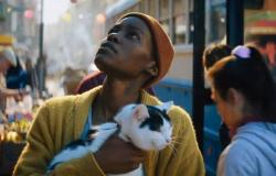 Un lugar en silencio: Día 1, mira el nuevo tráiler de la película protagonizada por Lupita Nyong’o y Joseph Quinn | Noticias
