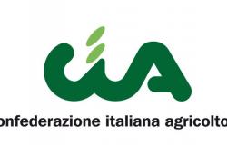 Sicolo: “Lollobrigida se burla de Puglia y del Sur, decreto agrícola inaceptable”